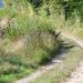 Autre chemin de Bourgogne